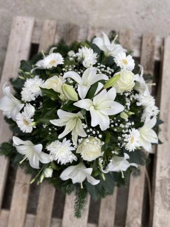 Domb koszorú közepes